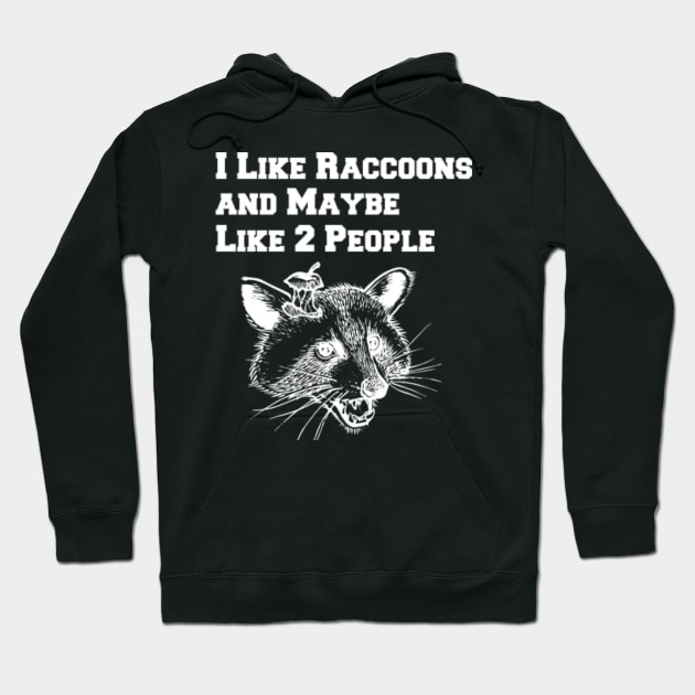 I Like Raccoons And Maybe Like 2 People Hoodie by lightbulbmcoc